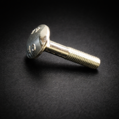 Rear plate screw (1 piece)