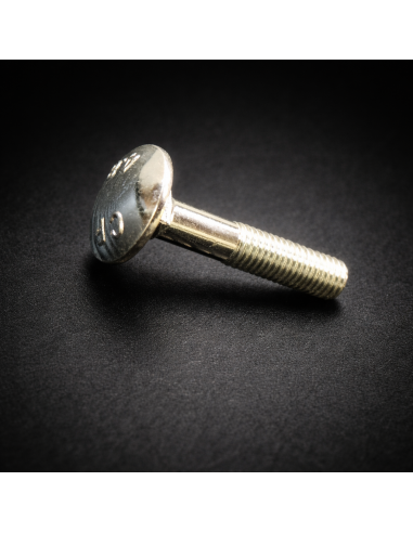 Rear plate screw (1 piece)