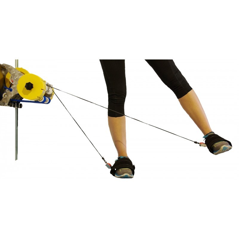 Cavigliera imbottita multisport